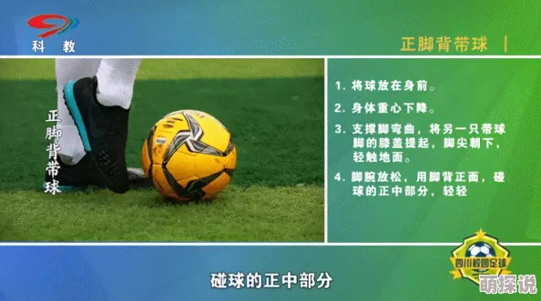 500篇无删减短h文WNBA常规赛：康涅狄格太阳vs纽约自由人团结拼搏追逐梦想勇往直前