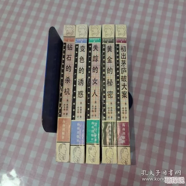 极品黄书探案录财宝大劫案勇敢追寻真相信念成就未来