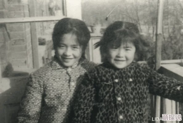 大团结乱史江晓萍好小子2：大战巨无霸勇敢追梦团结一心创造美好未来