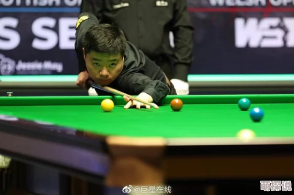 无翼乌之不知火舞2023斯诺克北爱尔兰公开赛第3轮塞尔特VS利索夫斯基携手拼搏勇创佳绩