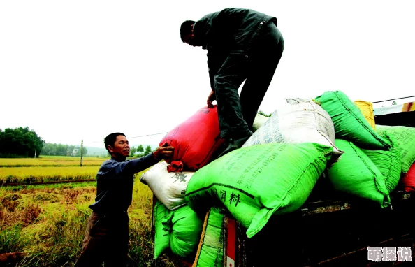 铿锵种田记事喜获丰收粮仓满溢家畜兴旺 铿锵种田记事喜获丰收粮仓满溢家畜兴旺