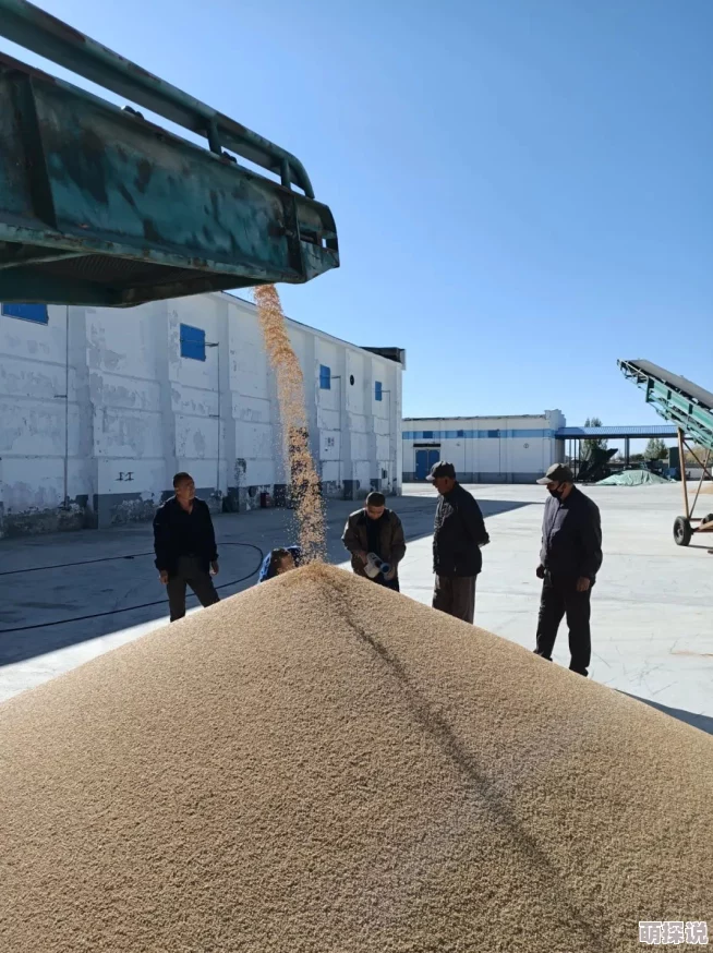 铿锵种田记事喜获丰收粮仓满溢家畜兴旺 铿锵种田记事喜获丰收粮仓满溢家畜兴旺