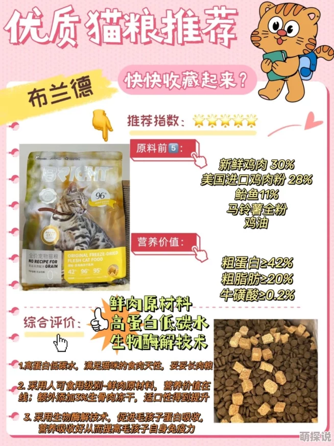 黄油猫粮试吃测评wwww测评结果公布超好吃的猫粮推荐