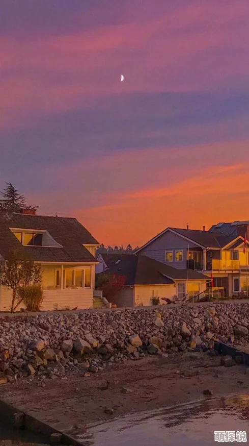 真实的和子乱拍视频网站比佛利山豪宅经纪第一季追求梦想勇敢前行创造美好未来