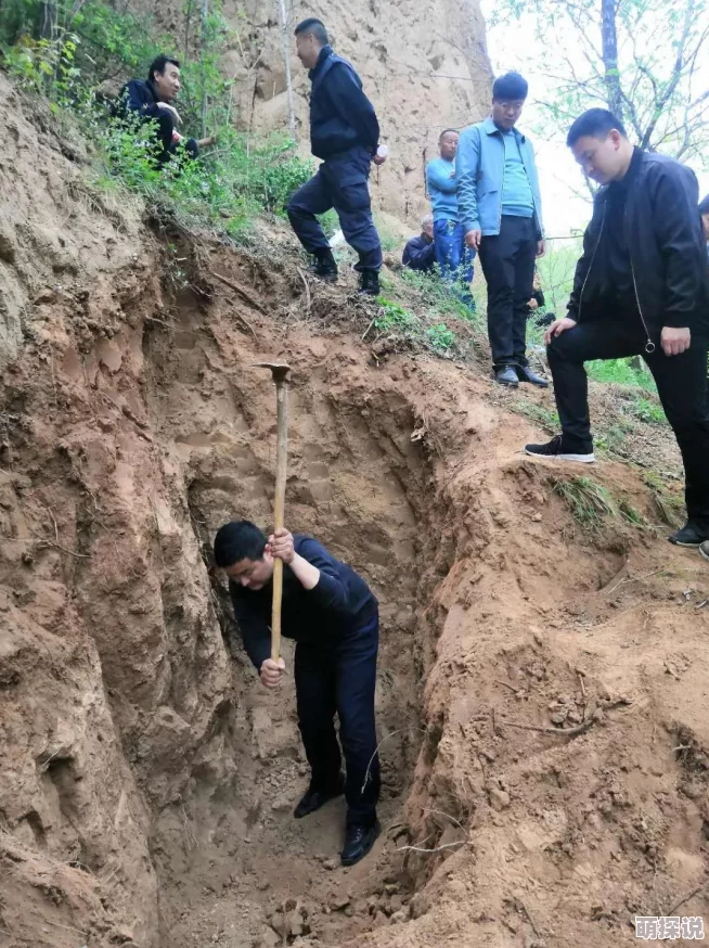 模拟人生4警察职业路径选择：揭秘哪个报复选项竟藏有惊喜反转！