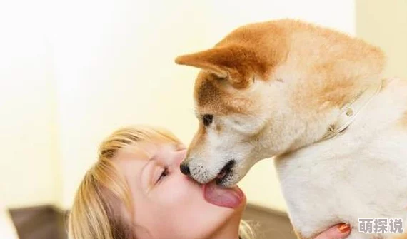 人狗h文近日一项研究发现狗狗能感知主人的情绪变化并做出相应反应