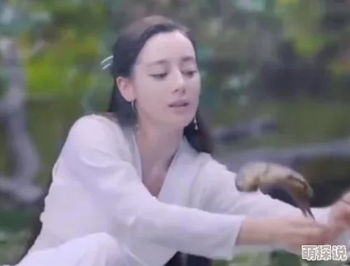我的娇妻小说娇妻带球跑路总裁追妻火葬场