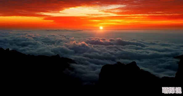 日出水了特别黄的视频画面修复版现已上线 日出水了特别黄的视频画面修复版现已上线