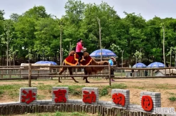 惊喜揭秘!和平精英幸运萌趣趣套装获取攻略,轻松解锁限定套装的秘密方法! 惊喜揭秘!和平精英幸运萌趣趣套装获取攻略,轻松解锁限定套装的秘密方法!