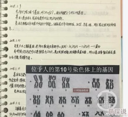 我怀了我儿子的孩子了怎么办基因突变模拟游戏测试员日记