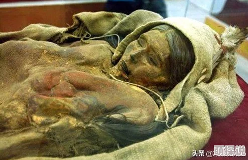 模拟人生4下巴美学大揭秘：惊喜消息！发现最新最受欢迎的下巴造型TOP榜！