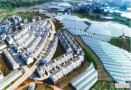 揭秘!文明6中令人惊喜的首府归属:竟是这个古老而辉煌的文明! 揭秘!文明6中令人惊喜的首府归属:竟是这个古老而辉煌的文明!