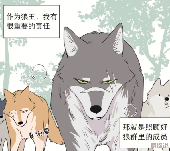 学长是匹狼大饼最新情报公开主角身世之谜即将揭晓