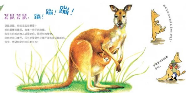 动物世界性行为生命的延续与繁衍是自然界的奇妙法则，展现了生物的多样性与和谐共生