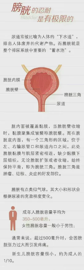 体内灌尿play强制憋尿扩张膀胱达到极限