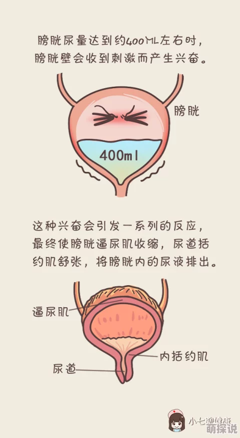 体内灌尿play强制憋尿扩张膀胱达到极限
