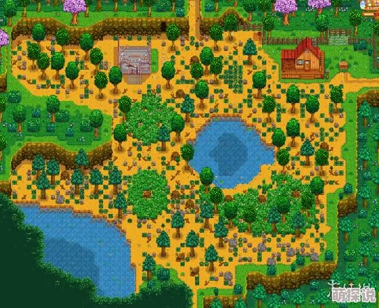 星露谷物语：惊喜揭秘！选哪个地图最适合你，还有隐藏福利等你发现！