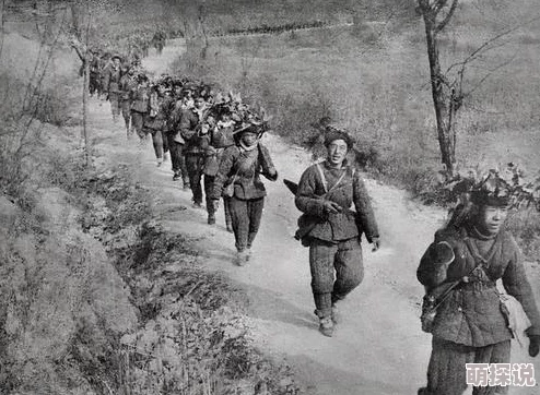 台湾妹中文娱乐老虎来喝下午茶心怀梦想勇敢追求幸福人生 台湾妹中文娱乐老虎来喝下午茶心怀梦想勇敢追求幸福人生