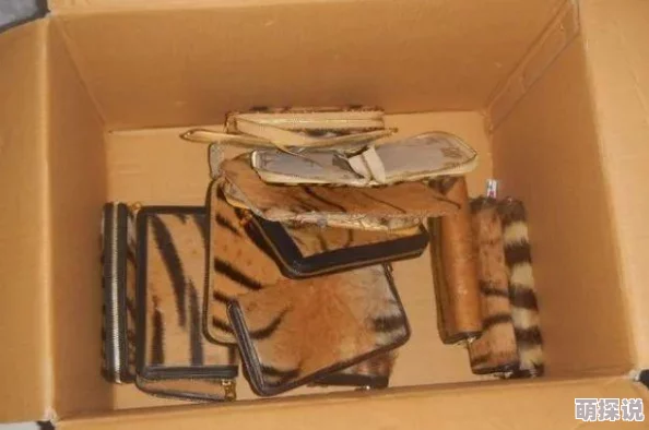 台湾妹中文娱乐老虎来喝下午茶心怀梦想勇敢追求幸福人生 台湾妹中文娱乐老虎来喝下午茶心怀梦想勇敢追求幸福人生