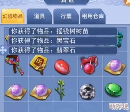 燕云十六声辟邪钱袋任务全攻略：轻松解锁，更有隐藏惊喜奖励等你拿！