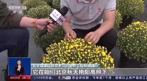 妻友小菊的秋天心怀希望勇敢追梦收获美好人生