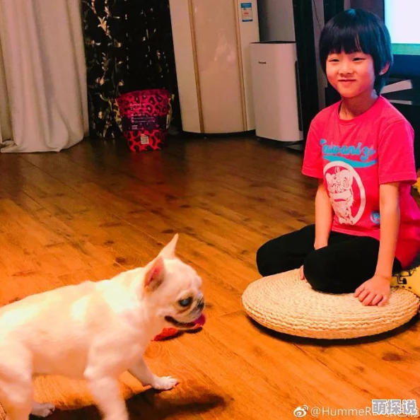 国产露脸视频精彩内容持续更新敬请期待更多优质作品 国产露脸视频精彩内容持续更新敬请期待更多优质作品