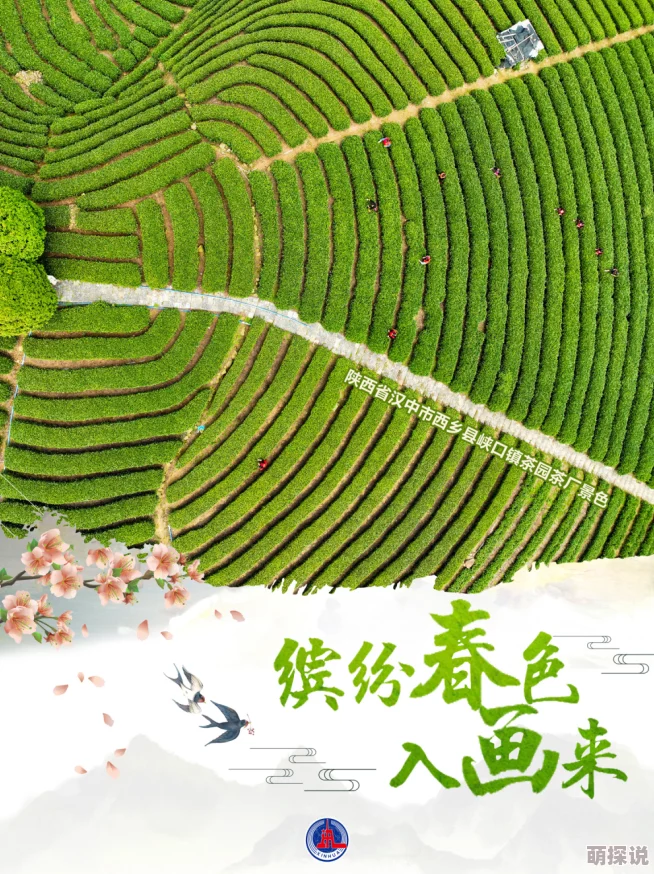 亚洲春色图片色彩更鲜艳新增高清图集