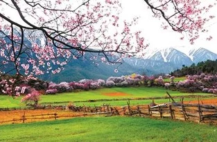 亚洲春色图片色彩更鲜艳新增高清图集