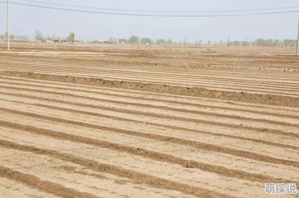 (70岁老人)森林交易10元一次老人称系自愿交易非强迫已报警警方介入调查