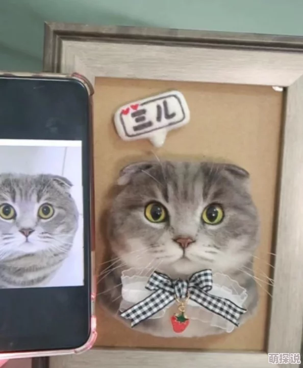 2024惊喜盘点：免费猫咪玩小鱼游戏大全，全新互动体验等你来发现！