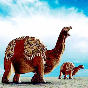 亚洲牝户毛茸茸近日科学家发现该物种在栖息地适应性方面表现出惊人的灵活性 亚洲牝户毛茸茸近日科学家发现该物种在栖息地适应性方面表现出惊人的灵活性