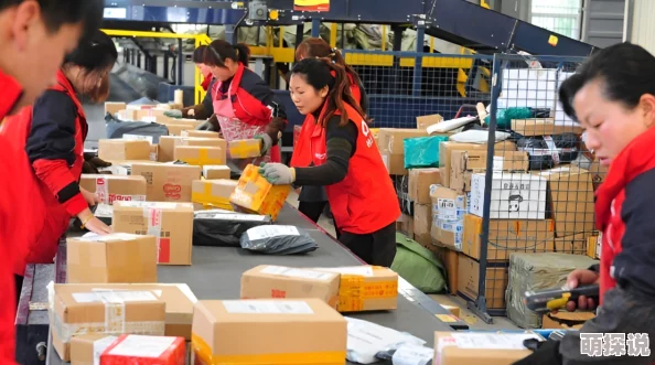 管鲍之交分拣中心官网入口快递分拣高效快捷安全可靠值得信赖
