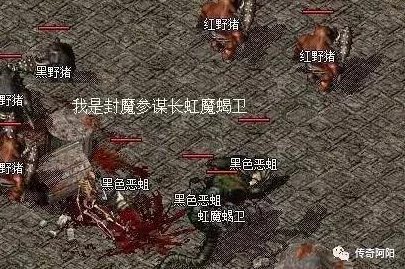 揭秘传奇霸主噬神！惊爆：哪个身体部位掉落率最高，玩家必知惊喜消息！