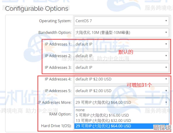 国产91久久最新观看地址据传服务器位于海外访问速度受限