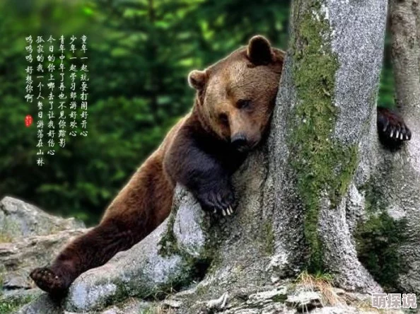 欧美人与牲禽xxxxx传播疾病虐待动物引发道德争议 欧美人与牲禽xxxxx传播疾病虐待动物引发道德争议