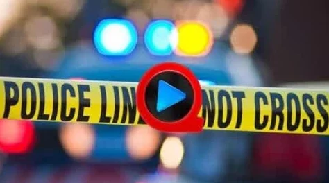 欧美一级毛片大全集此内容涉嫌传播淫秽色情信息已被举报