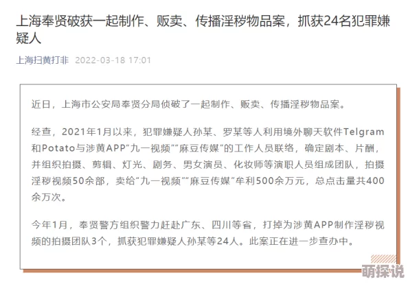 麻豆视屏平台内容与传播现象的初步调查与伦理风险分析 麻豆视屏平台内容与传播现象的初步调查与伦理风险分析
