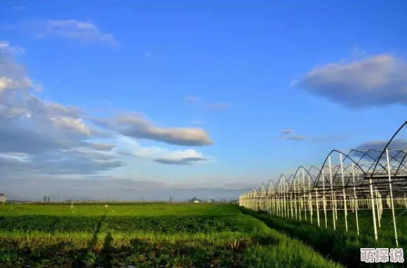 都市后花园打造休闲娱乐新地标引领健康生活新风尚 都市后花园打造休闲娱乐新地标引领健康生活新风尚