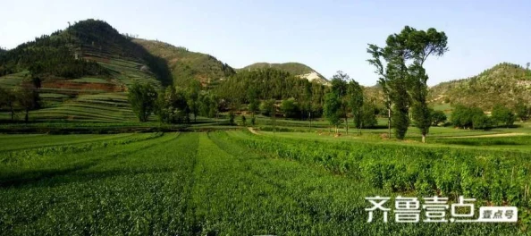 香蕉久久网新鲜水果每日上架品种齐全价格优惠