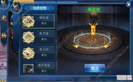 集齐六大神宠，揭秘最新消耗钻石数：成功召唤异界之神超神宠物！