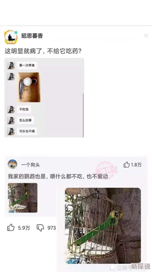 美女张开双腿让男人捅网友:低俗不尊重女性,建议平台加强监管 美女张开双腿让男人捅网友:低俗不尊重女性,建议平台加强监管