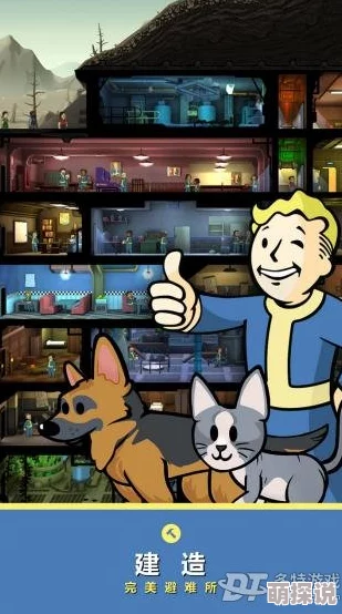 2024辐射避难所高效属性训练技巧与热门策略详解 2024辐射避难所高效属性训练技巧与热门策略详解