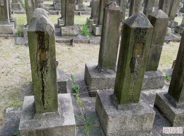 日本精品xxx虚假宣传质量差服务不到位退款难消费者投诉不断 日本精品xxx虚假宣传质量差服务不到位退款难消费者投诉不断