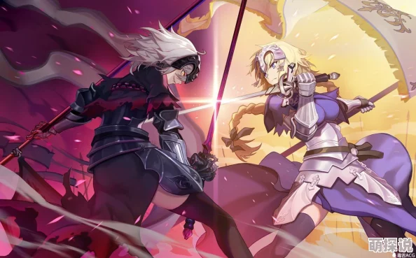 命运冠位指定FGO：热门黑贞队搭配与主流输出英灵阵容