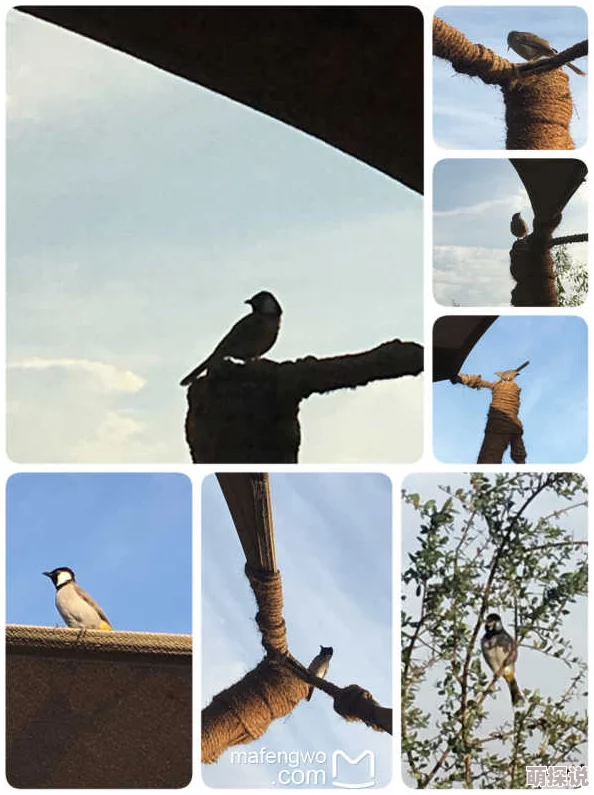 最原始的欲望全文充斥着低俗描写和扭曲价值观,情节荒诞缺乏深度 最原始的欲望全文充斥着低俗描写和扭曲价值观,情节荒诞缺乏深度