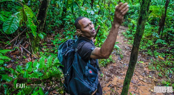手指探过茂密的丛林摄影师冒着生命危险记录濒危物种的隐秘生活