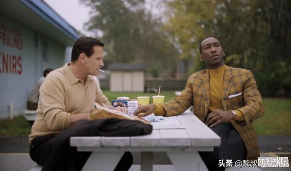 绿皮书在线高清完整版免费观看绿皮书GreenBook2018奥斯卡最佳影片现已上线 绿皮书在线高清完整版免费观看绿皮书GreenBook2018奥斯卡最佳影片现已上线