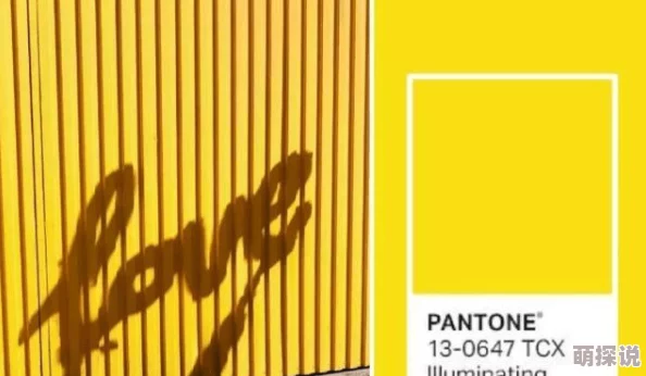 黄色AAA网友称颜色鲜艳夺目设计感十足引发热议