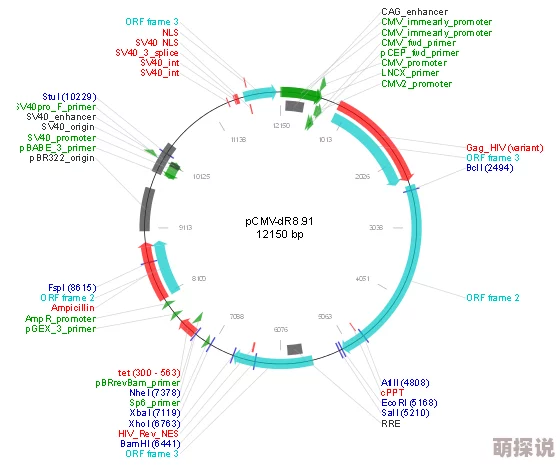 91短视频在线观看平台内容生态与用户行为模式的初步探索分析 91短视频在线观看平台内容生态与用户行为模式的初步探索分析