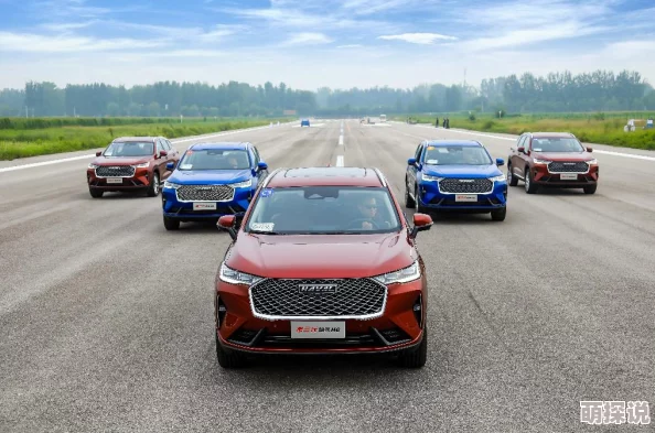 长城900越野车价格探索市场行情与配置差异预估实际落地价区间 长城900越野车价格探索市场行情与配置差异预估实际落地价区间